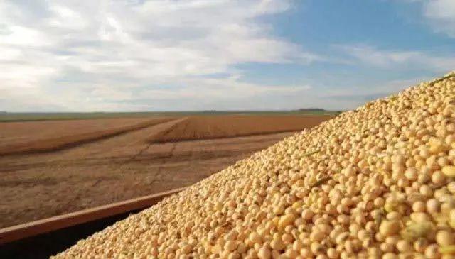农业遥感掌控我国大豆的整体种植格局