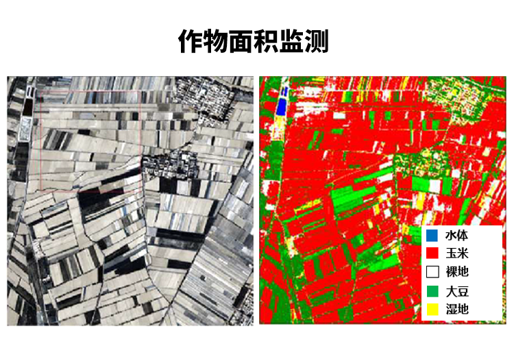 作物面积监测.png